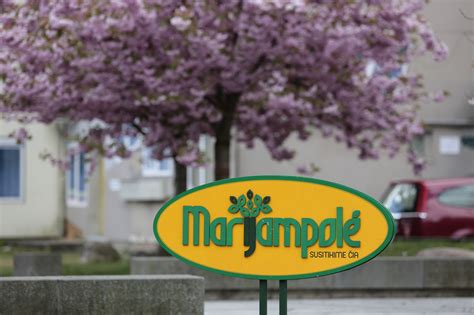 Marijampole városképe a mérkőzés napján
