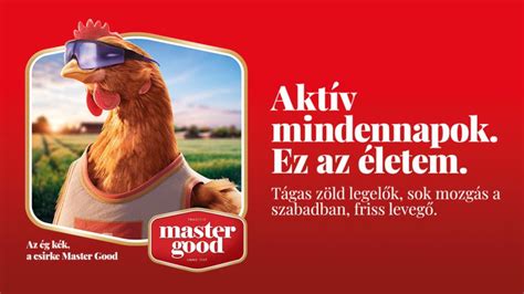 A Master Good cég logója, utalva a vállalat jelentőségére