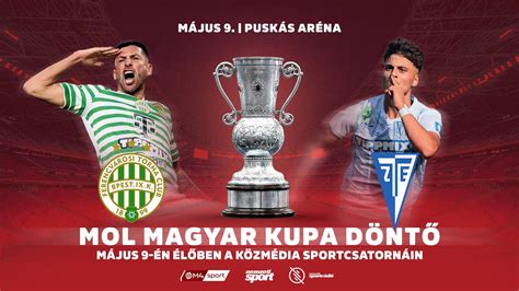 A Magyar Kupa serlegének stilizált képe