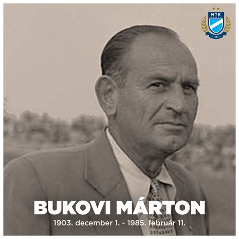 Bukovi Márton taktikai rajza