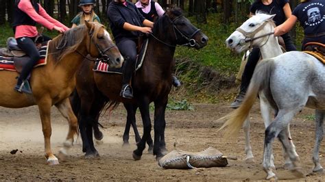 A köböre játék lovasokkal és a kecsketetemmel a pályán