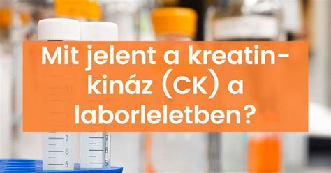A kreatin-kináz (CK) szerepe az izomterhelés monitorozásában