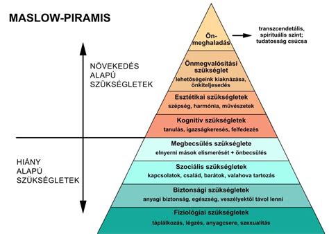 Az MTK vezetőségének döntését bemutató infografika: edzőváltás és stratégiai irány