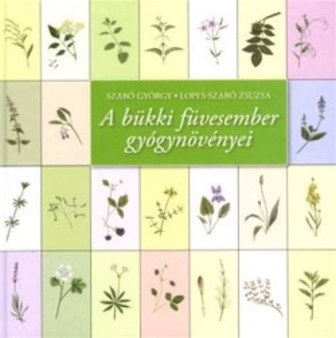 Szabó György bükki füvesember gyógynövényekkel