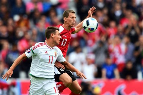 Németh Krisztián a 2016-os Európa-bajnokságon