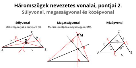 Középkör és középvonal a kosárlabdapályán
