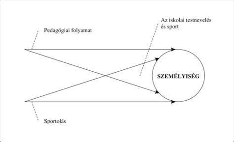 Labdarúgás szakszavak fejlődését és nyelvi eredetét bemutató grafikon