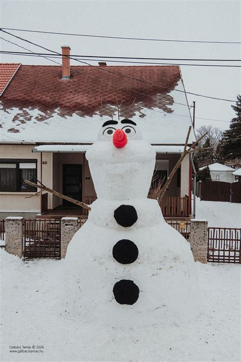 A Hóember című animációs film plakátja