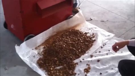 Zamboni jégtisztító gép működés közben