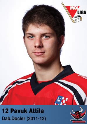 Pavuk Attila jégkorongozó