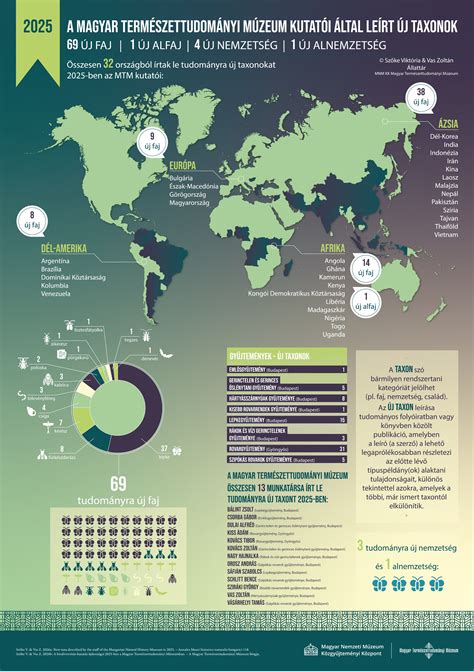 Infografika az MLSZ támogatási rendszeréről