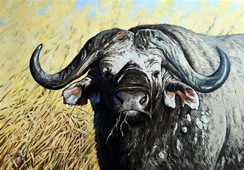 Fénykép Boros Árpádról