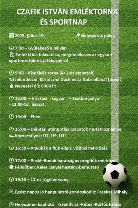 Pálya grafika a csapatok statisztikáival