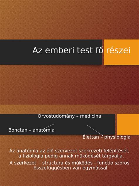 Az Origin platform logója és főbb funkciói