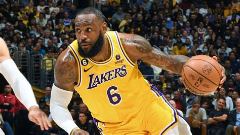 LeBron James portréja