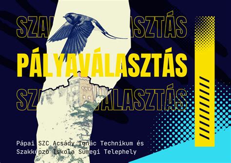 A pályaválasztás jelentősége a kupában