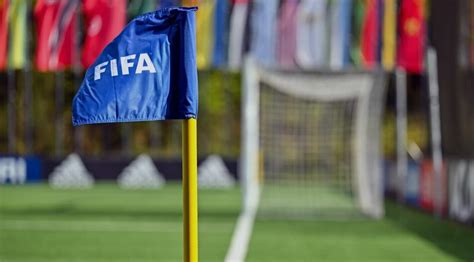 FIFA szabályozás és játékosügynöki licenc