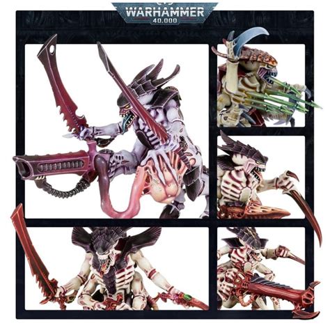 Részletesen felszerelt Tyranid Harcos