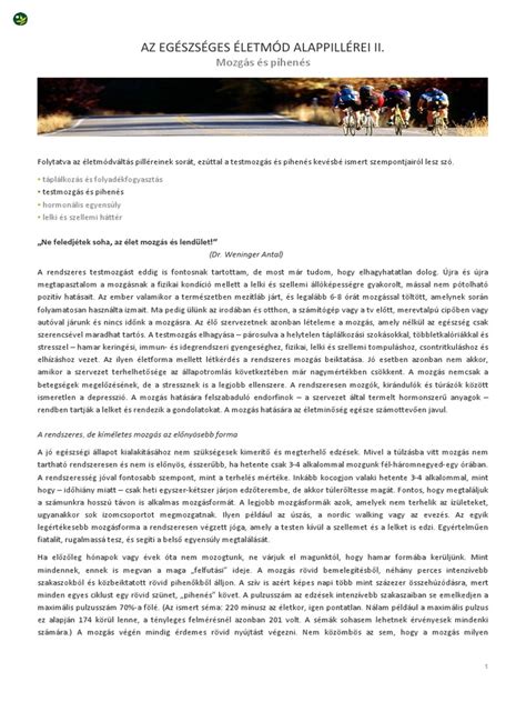 Az egészséges életmód alappillérei