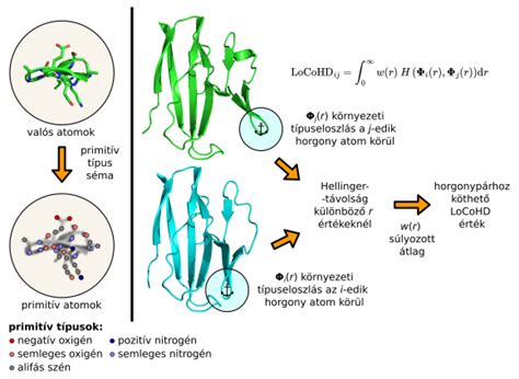 Séma az intencionalitásról és a noétikus-noématikus elemzésről