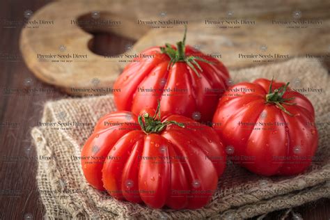 Ételek Costoluto Fiorentino paradicsommal