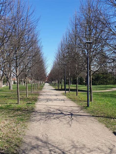 Mezei futópálya a Gödöllői Királyi Kastélyparkban