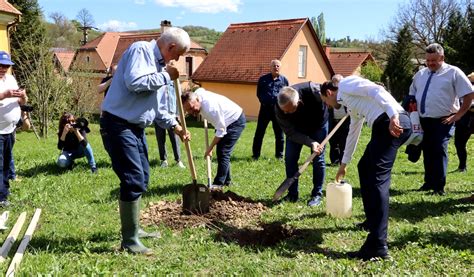 Önkéntesek faültetési akciója