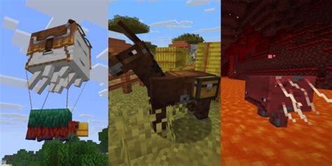 Minecraft hátasok összehasonlítása