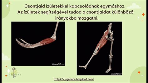 A kapus mozgása a büntetőterületen belül és a hazaadási szabályok