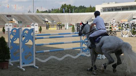 Horse ball játék közben lovasokkal és kosárpalánkkal