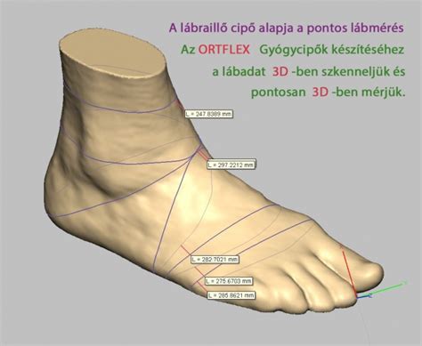 Lábmérés útmutató