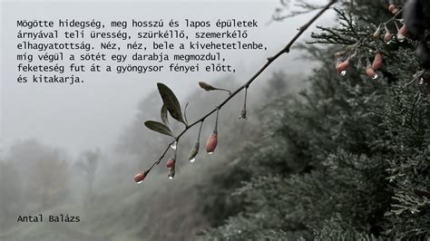 Antal Balázs ökölvívó edzésen