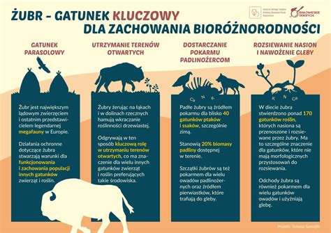 Infografika íjászverseny alapszabályairól