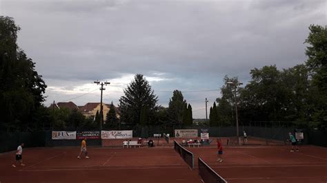 Tenisz pálya és játékosok