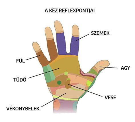 Kapcsolatfelvételi pontok térképe