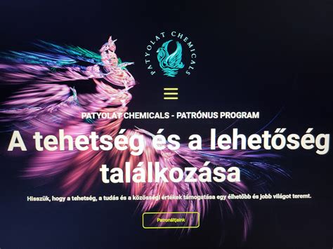 A Patrónus Program felépítése és céljai infografika