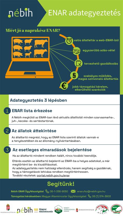 Személyiségjegyeket és numerológiai összefüggéseket ábrázoló infografika