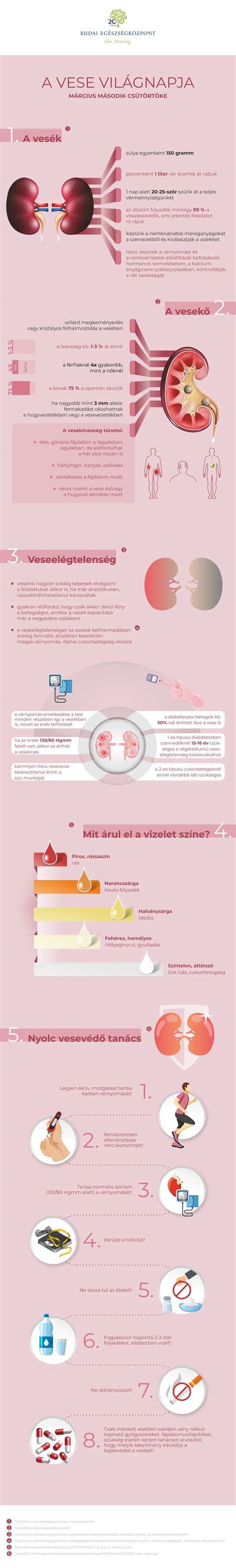 A vese működését bemutató infografika