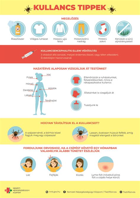 Adathalászat és kibertámadások megelőzése infografika