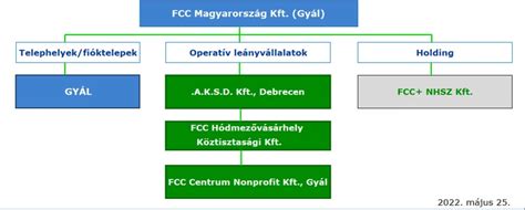 A cseh labdarúgóklubok tulajdonosi struktúrája