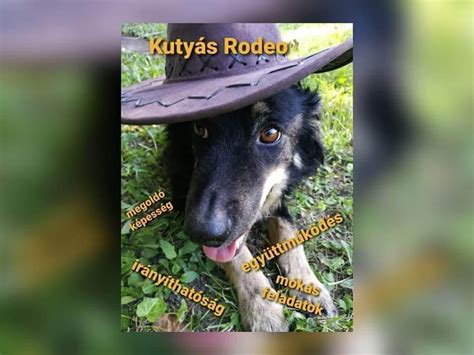 virtuális rodeo verseny képernyőkép