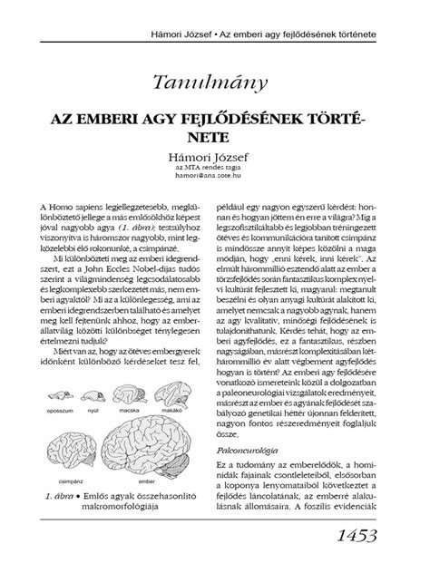 Az adatáramlás sematikus ábrája a közhiteles adatbázisoktól a feketelista.hu-ig
