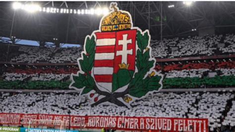 Írország szurkolói