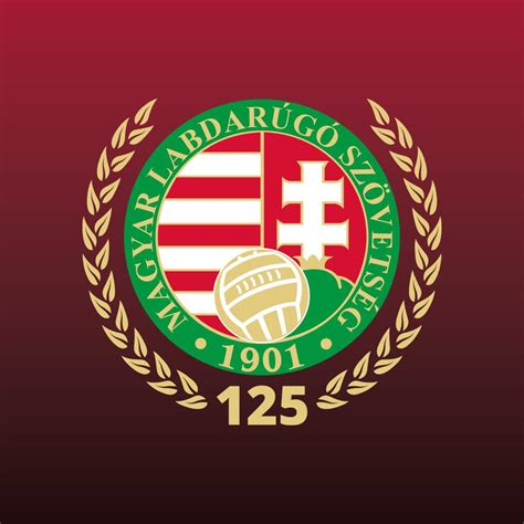 Kép a Magyar Labdarúgó Szövetség székházáról