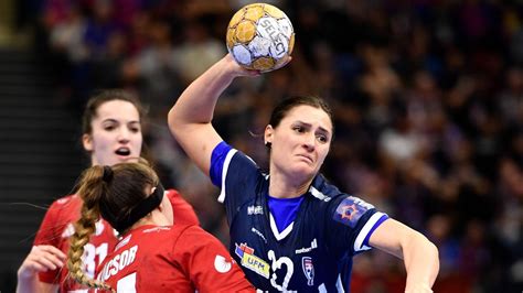 A Nimes kézilabdacsapatának logója és stadionja
