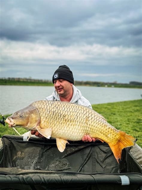A Fishing Farm Somogysárd tó látképe és horgászhelyei