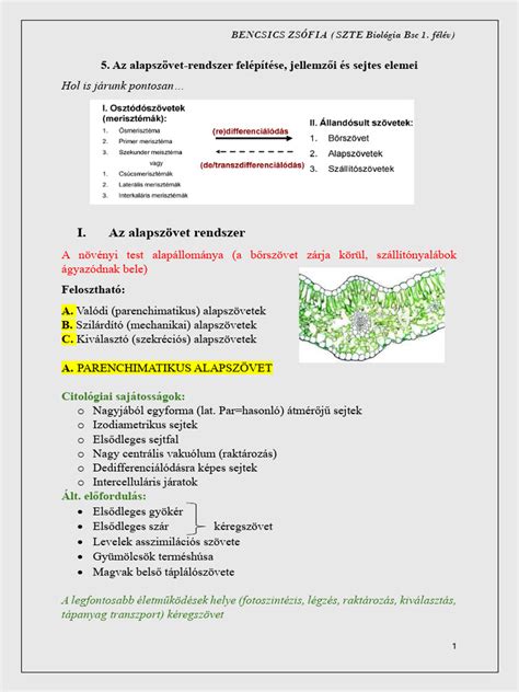 versenynaptár és bajnoki rendszer felépítése