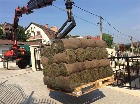 Gyepszőnyeg csere folyamata