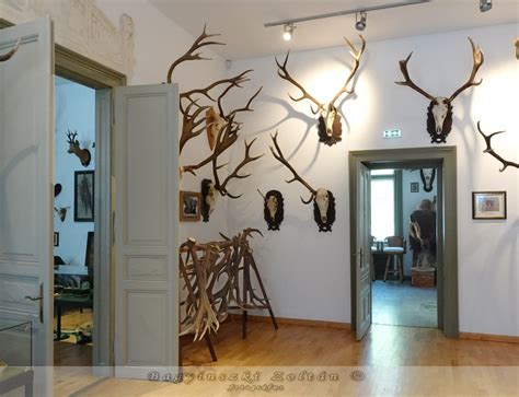 A Borusseum múzeum trófea terme