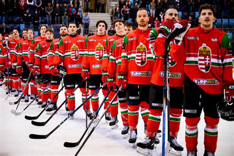 Litván jégkorong válogatott címere